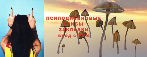 дурь Бронницы