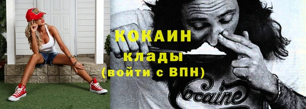 спайс Бородино