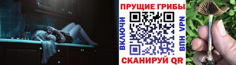 Галлюциногенные грибы Psilocybe Верхотурье